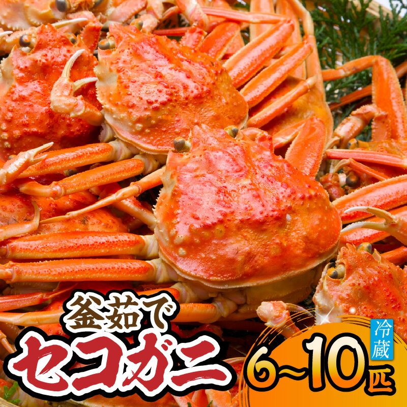 【ふるさと納税】【先行予約】兵庫県 香住産 釜茹で セコガニ 6〜10匹（約1.2kg）冷蔵 香住漁港 柴山漁港で水揚げ セコガニは松葉ガニのメス セイコガニ カニ ボイル 香箱ガニ 越前ガニ 親蟹 コッペガニ かに カニ 蟹 姿 香箱蟹 親ガニ 内子 外子 香美町 宿院商店 送料無料