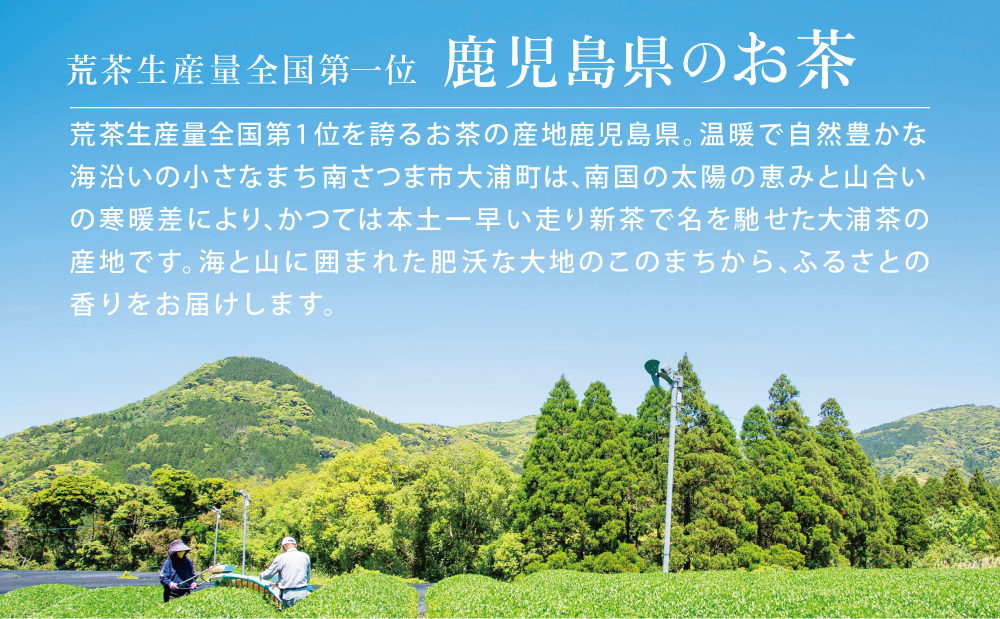 鹿児島県産緑茶 大浦茶 一番茶 3本セット(100g×3) ［贈答用］ 鹿児島県産 国産 かごしま お茶 日本茶 鹿児島茶 緑茶 茶葉 冷茶 飲料 飲み物 旨味 コク 簡単 美味しい 減農薬 プレゼント 贈答 贈答品 贈り物 ギフト 鹿児島県 南さつま市 徳留茶農園