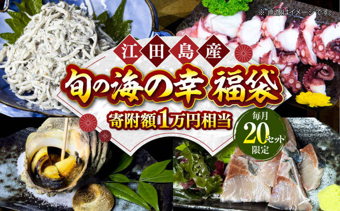 
            【何が届くかお楽しみ】旬の海の幸 福袋 寄附額1万円相当 魚介類 海産物 海鮮 刺身 広島 海鮮 魚介類 冷凍 水産加工品 海藻 鮮魚 さかな 刺身 詰め合わせ セット 小分け 海鮮丼 加工品 惣菜 刺身 真空パック 小分け タコ たこ 蛸 はまち ハマチ 魬 しらす シラス 料理 和食 時短 便利 ギフト 広島県産 人気 送料無料 江田島市/七宝丸 [XBY004]
          