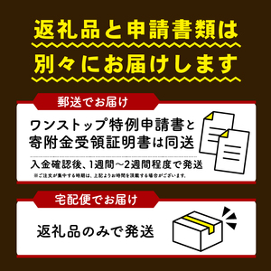 【先行予約】 訳あり 丹波黒豆 2kg 黒豆黒豆黒豆黒豆黒豆黒豆