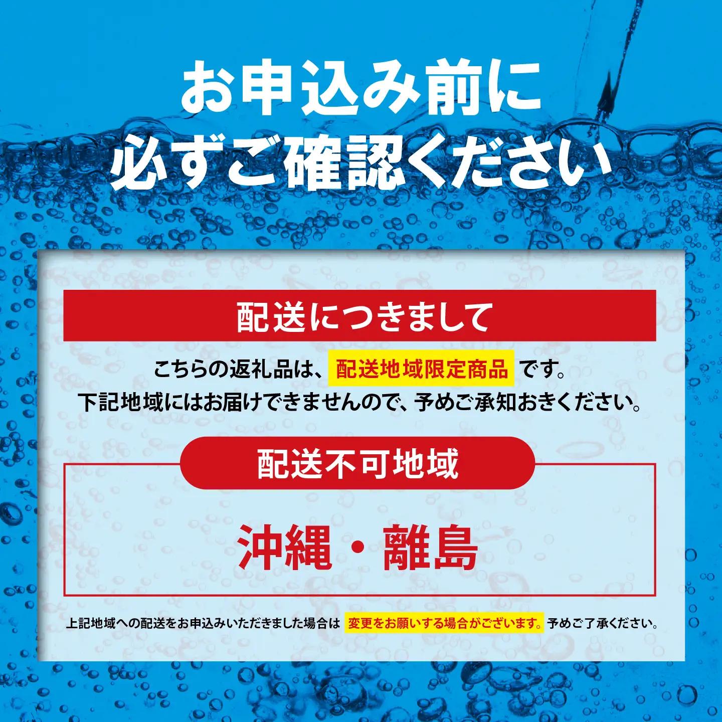 強炭酸水 ラベルレス レモン 3ヶ月定期便 500ml×1箱 24本入 炭酸