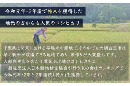 ＜6ヶ月定期便＞ 令和7年産 千葉県産「コシヒカリ」10kg×6ヶ月連続 計60kg A028