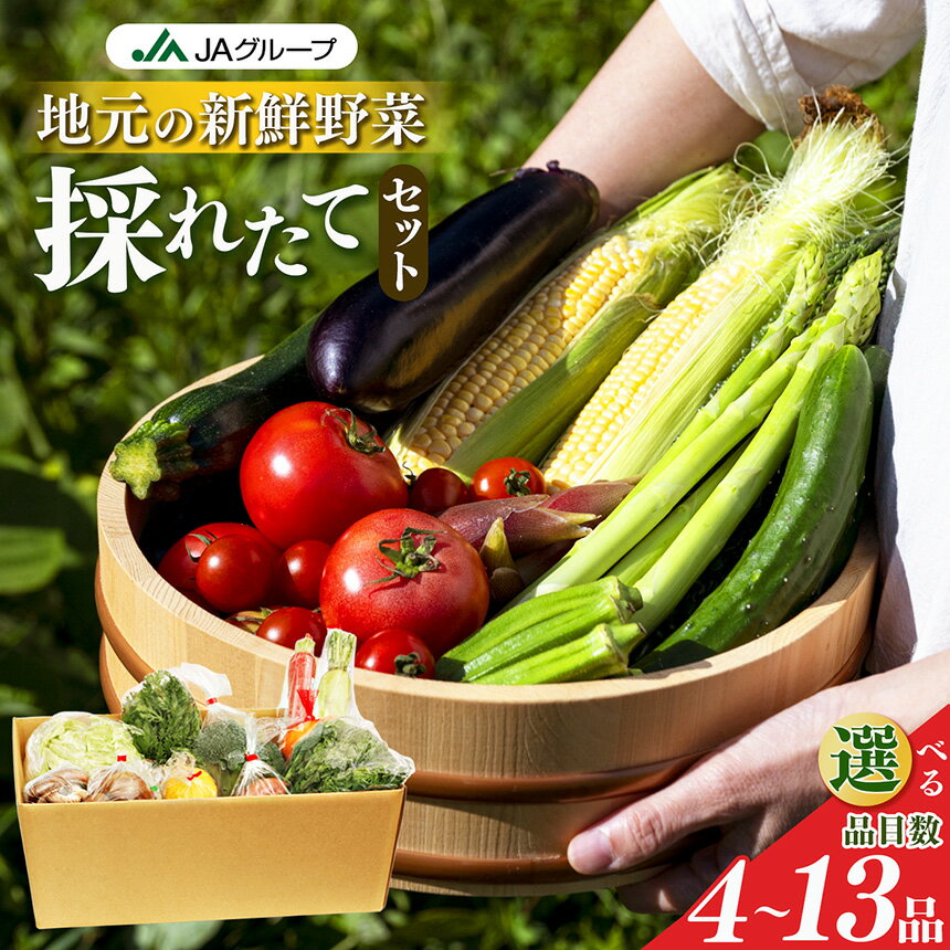 【ふるさと納税】 野菜 季節の野菜セット | ヤサイ やさい 詰め合わせ セット せっと 詰合せ 組み合わせ まとめ マトメ 奈良県 五條市 果物 新鮮 季節 お試し バーベキュー BBQ おすすめ 冬 春 夏 秋 国産 季節の野菜