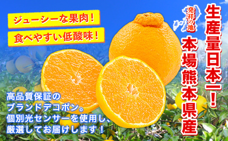 デコポン 無加温 約1.8kg デコポン
