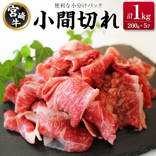 宮崎牛 小間切れ 便利な小分け 200g×5P 計1kg 人気 冷凍 国産【C449】