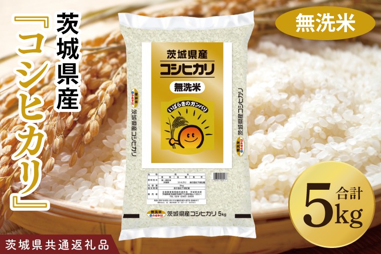 
            【茨城県共通返礼品】令和7年産 茨城県産 無洗米コシヒカリ5kg【お米 米 こしひかり ごはん 茨城県】（03-51-1）
          