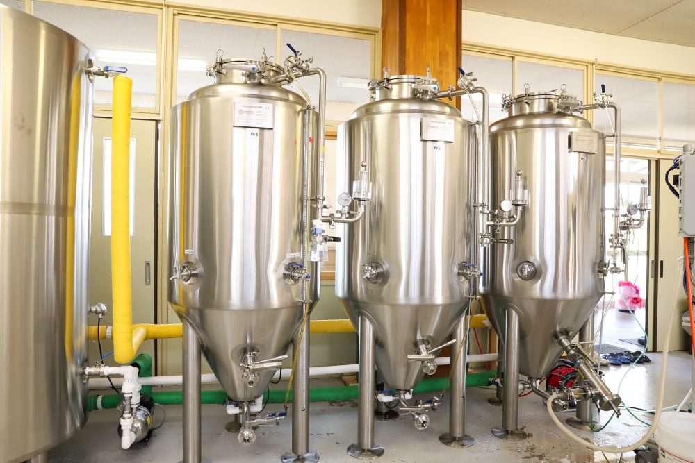 クラフトビール いぶすきケルシュエール【初恋のあの子】6本 (いぶすきブルワリー/018-2028) クラフトビール 瓶 ビール セット ビールセット