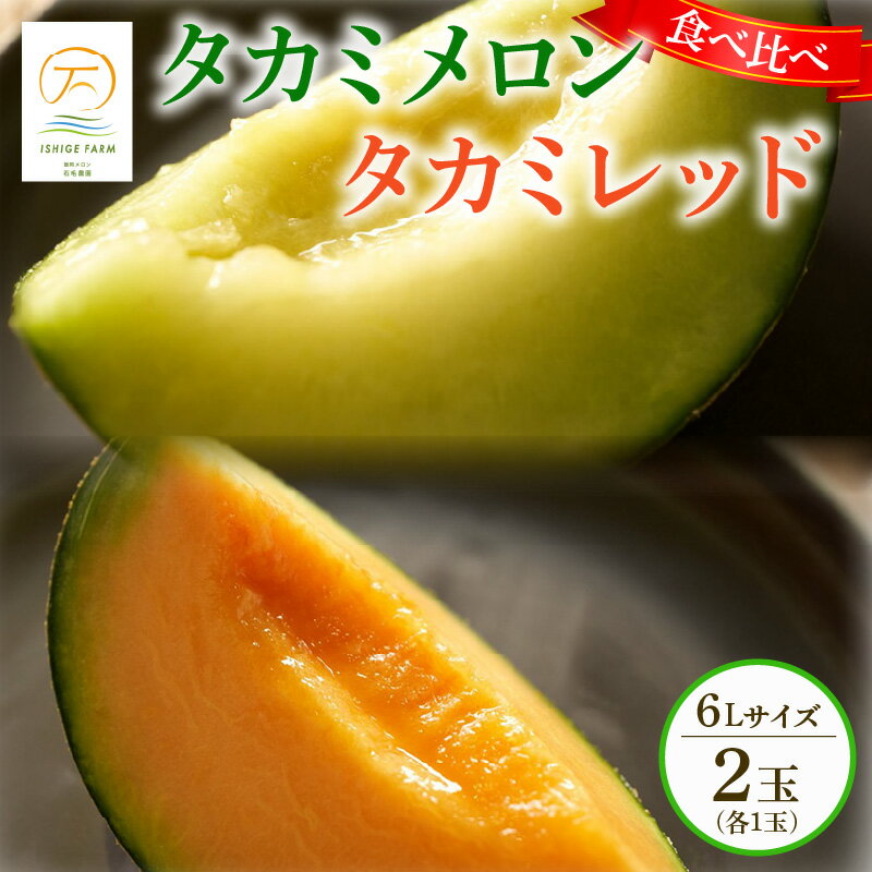【ふるさと納税】 ＜2025年 先行予約 ＞ タカミメロン 青肉 赤肉 セット 6L×各1玉 6月 7月 発送 産地直送 メロン 食べ比べ 高級 糖度 タカミレッド 飯岡メロン ブランドメロン 贈答 ギフト プレゼント 果物 フルーツ 千葉県 旭市 石毛農園