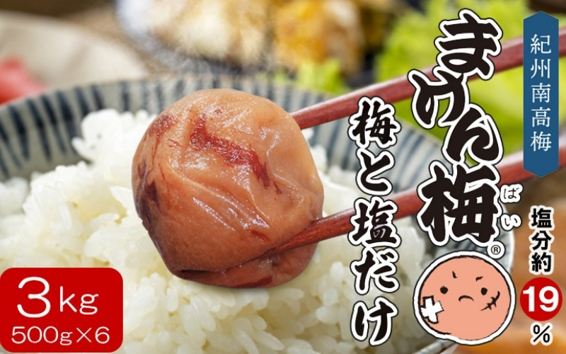 まけん梅(R) 梅と塩だけ 3kg(500g×6) 塩分約19％ 梅干し 紀州南高梅 nankiume006B