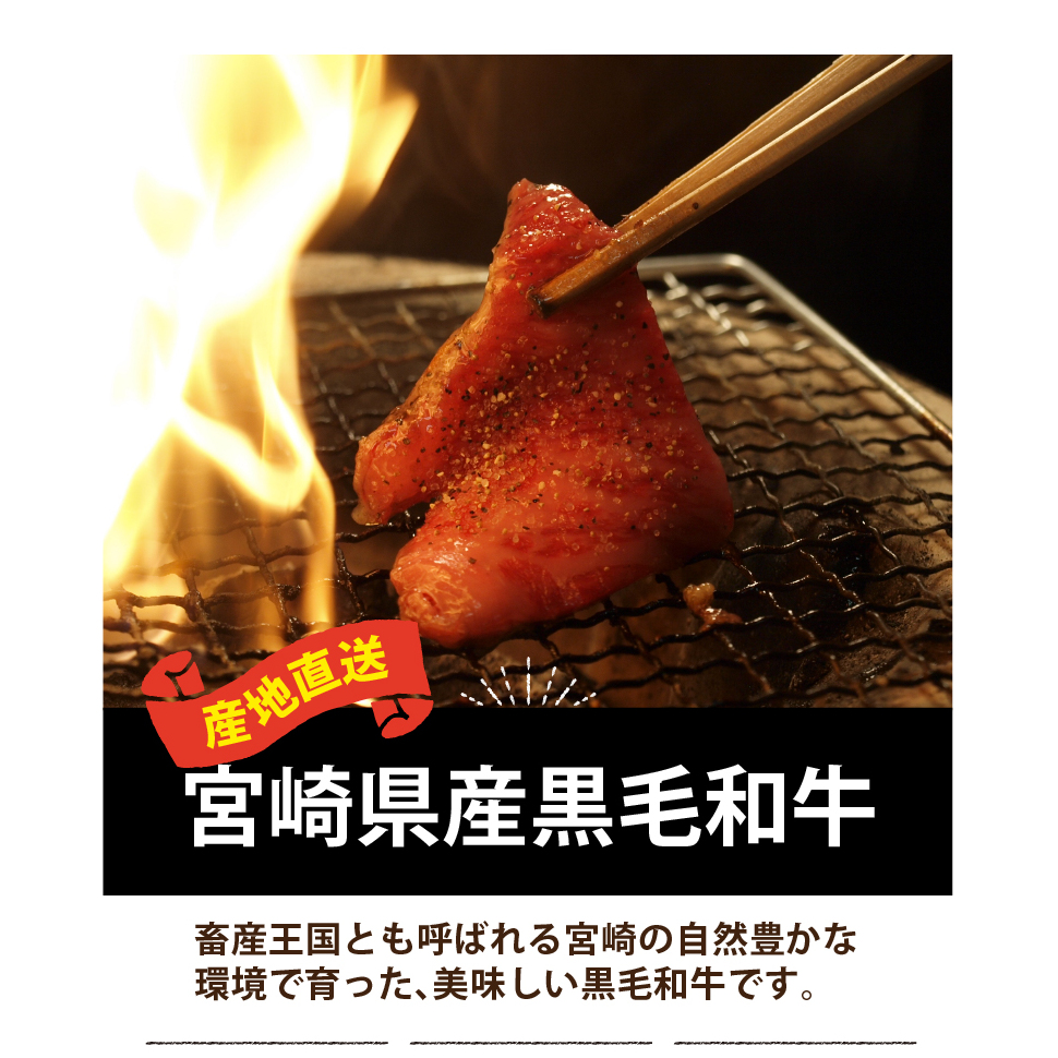 宮崎県産 黒毛和牛 赤身 焼肉 500g トレイ包装 [SHINGAKI 宮崎県 美郷町 31ag0074] 牛肉 ウデ モモ 焼肉 冷凍 九州産 送料無料 BBQ バーベキュー_イメージ2