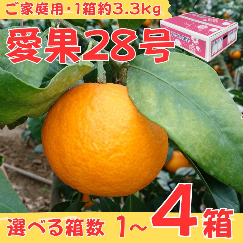 【ふるさと納税】ご家庭用 愛果28号 【選べる容量（1箱約3.3kg）】1箱～4箱 みかん 柑橘 愛媛 人気 数量限定 先行予約 柑橘 【2025年12月から順次発送】