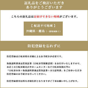 ヱビス自転車 フィデース206CST 20インチ小径自転車 シマノ製外装6段変速　電動なし（レトロ感 シマノ製ローラーブレーキ LEDオートライト ）【マットネイビー】