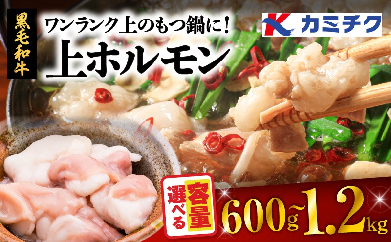 ＜容量選べる！＞ワンランク上のもつ鍋に！ 上ホルモン 600g or 1.2kg　K002-004
