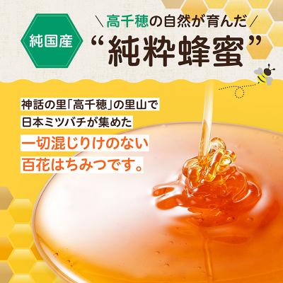ふるさと納税 高千穂町 日本みつばち 高千穂の純粋蜂蜜 600g×2本 セット |  | 01