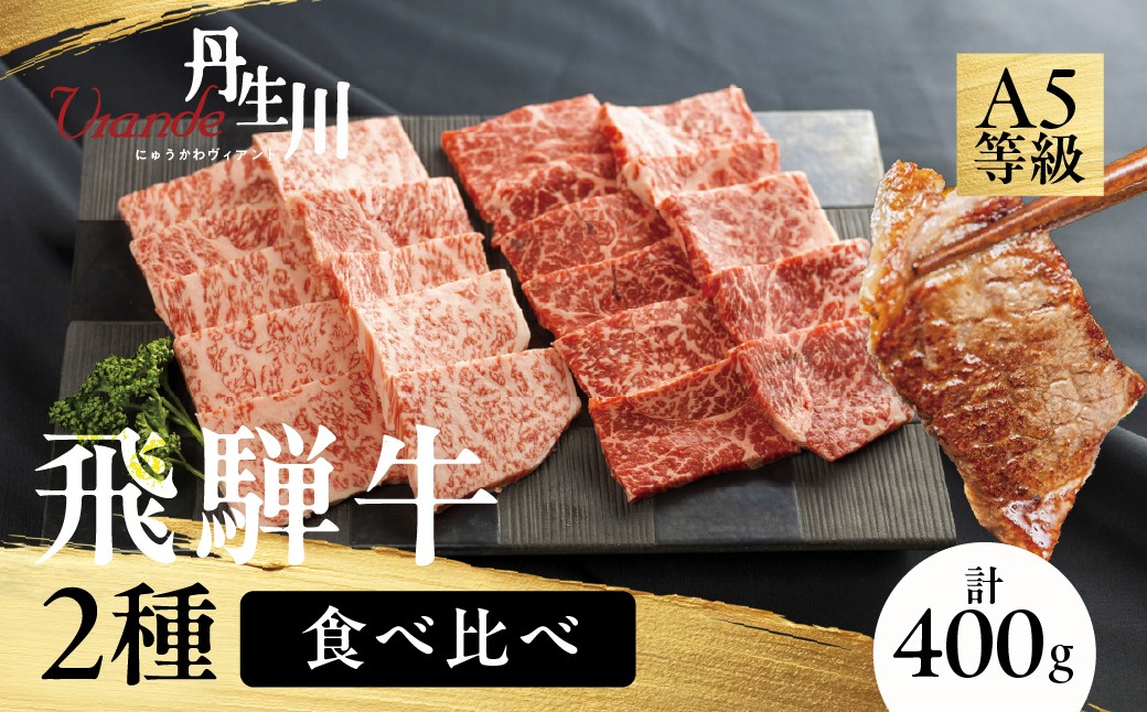 
                  2種食べ比べ！ 飛騨牛 A5等級 サーロイン 焼肉 200ｇ もも 赤身 焼肉 200ｇ | 牛肉 飛騨牛 ブランド牛 国産 赤身 サーロイン 焼肉 バーベキュー アウトドア 丹生川精肉 JJ018
                
