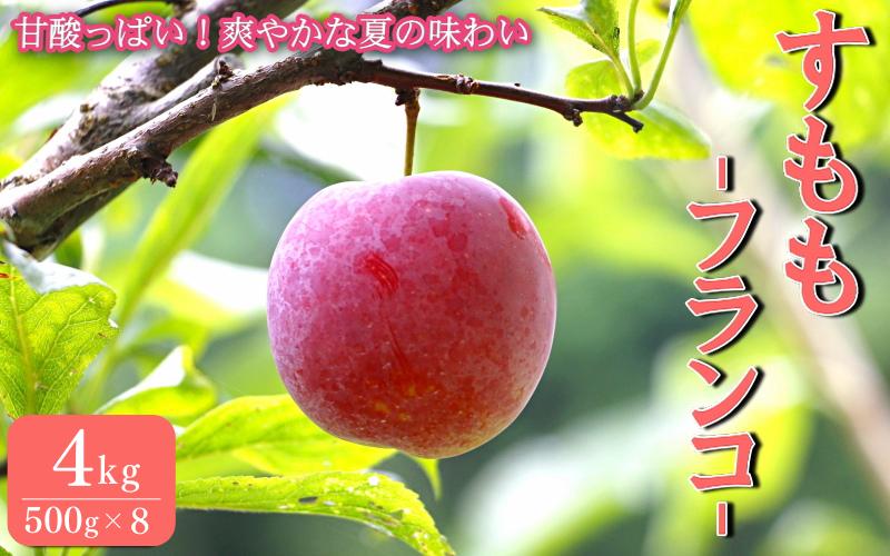 
先行予約 すもも（フランコ）4kg ※6月中旬～7月中旬頃に順次発送予定【期間限定・2025/6/20まで】 / スモモ お取り寄せ 期間限定 夏 フルーツ 果物 サンタローザ 和歌山県 田辺市
