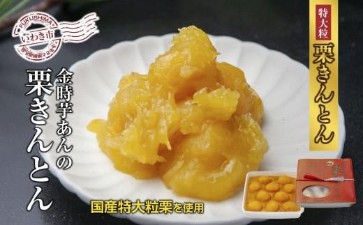 ＜先行予約＞高級栗きんとん専門店しいな　金時芋餡の特大粒栗きんとん（国産栗使用）　500g×1箱｜栗 くり くりきんとん 和菓子 菓子 スイーツ 限定