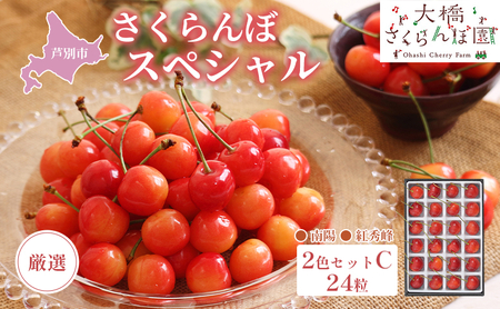 先行受付 厳選 さくらんぼ スペシャル 2色 セット C 24粒（赤・赤） 南陽 紅秀峰