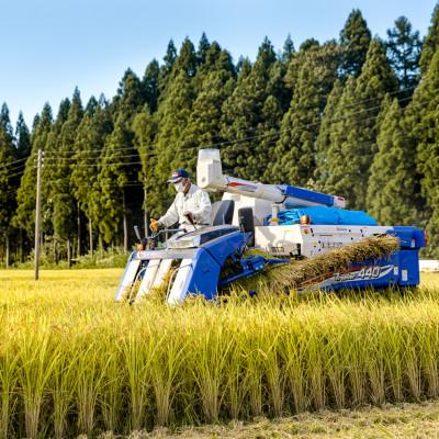 ふるさと納税 十日町市 【農家×女子高生】県認証特栽魚沼コシヒカリ(精米)6kgとかぐらなんばん・ホッポロ漬 各200g |  | 03
