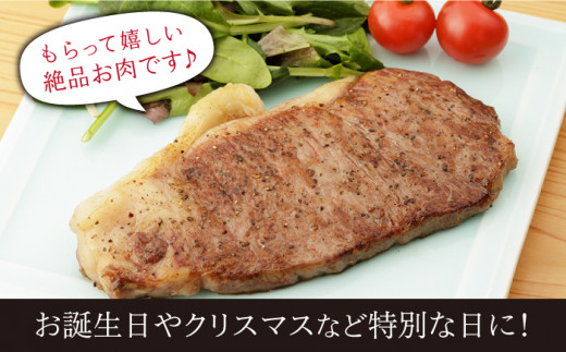 佐賀和牛 ロース 厚切り 切落し600g (300g×2) 【一ノ瀬畜産】 NAC012