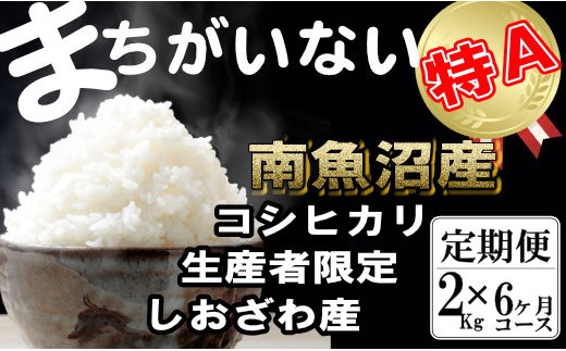 
                  【令和8年産　新米予約】【定期便】生産者限定 契約栽培　南魚沼しおざわ産コシヒカリ（2Kg×6ヶ月）【定期便 銘柄米 ブランド米 精米 こしひかり コシヒカリ 魚沼産 新潟米 産地直送 お米 米】【2026年10月上旬より1ヶ月以内に順次発送予定】
                