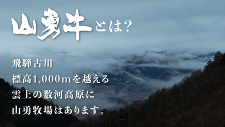 飛騨の牧場で育った熟成飛騨牛『山勇牛』堪能ステーキセット 赤身 霜降り 食べ比べ［F0019］