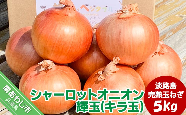 
            大地の恵み！淡路島の完熟玉ねぎ【シャーロットオニオン　輝玉（キラ玉）】5kg
          