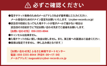 【8月24日開催】V・ファーレン長崎 PEACEスタジアム （ホームゲーム） 観戦チケット 1名分 V-VAREN J2リーグ サッカー チケット
