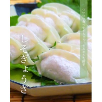 ふるさと納税 大垣市 生ぎょうざ専門店「新家」の餃子 2種セット 計70個(生餃子40個/しそ餃子30個) |  | 01