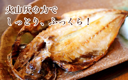 【解凍だけの簡単調理】若狭　灰干し5種セット（甘鯛、真鯛、連子鯛、かます、アオリイカ）干物 海鮮 冷凍食品