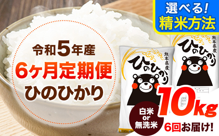 
【6ヶ月定期便】令和5年産 無洗米 も 選べる ひのひかり 10kg (5kg×2袋) 計6回お届け 白米 無洗米 熊本県産 単一原料米 ひの 熊本県 山江村《お申し込み月の翌月から出荷開始》
