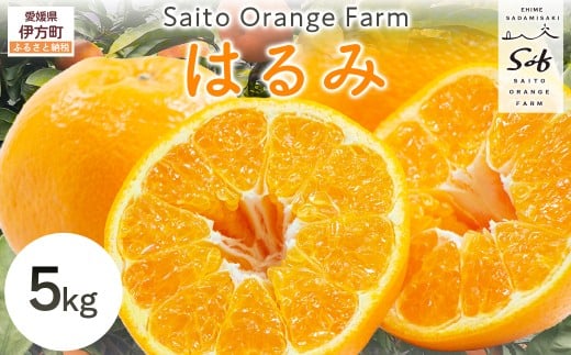 【先行予約】Saito Orange Farmのはるみ5kg（2026年2月上中旬頃より順次発送） 【 ふるさと納税 人気 おすすめ ランキング みかん ミカン 蜜柑 柑橘 はるみ フルーツ 果物 産地直送 西宇和 Saito Orange Farm 愛媛県産 愛媛県 伊方町 送料無料 】 IKTAQ016