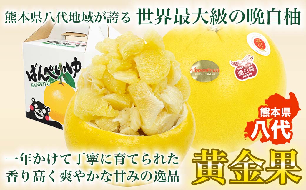 【先行予約】 晩白柚 ばんぺいゆ 3Lサイズ 2玉 約5kg 果物 果実 くだもの フルーツ 柑橘 柑橘類 熊本県 八代市 【2026年12月上旬より順次発送】