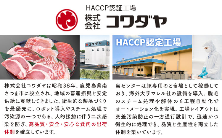 ＜訳あり＞鹿児島県産 豚ロース スライス【3ヶ月定期便】500g×3P 株式会社 コワダヤ《お申込み翌月から出荷》鹿児島県 さつま町 豚 ブタ肉 ロース肉