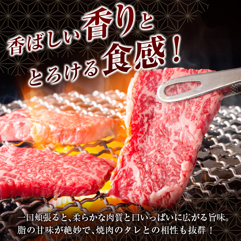 ＜肉質等級4等級以上＞黒毛和牛 霜降り 焼肉 計500g 牛肉 BBQ 国産 宮崎県産【B651-25】_イメージ3