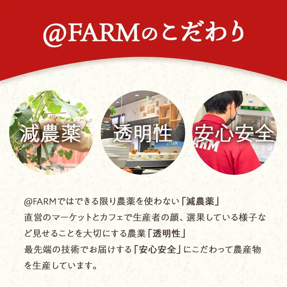  ＠FARM　いちごのパウンドケーキ2個セット