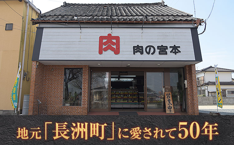 馬刺しセット850g 肉の宮本《45日以内に出荷予定(土日祝除く)》---sn_fmiyabasasi_45d_22_60500_850g---st-p
