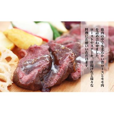 ふるさと納税 西粟倉村 森のジビエ 鹿肉 ブロック おまかせ詰合せ700g以上 |  | 03