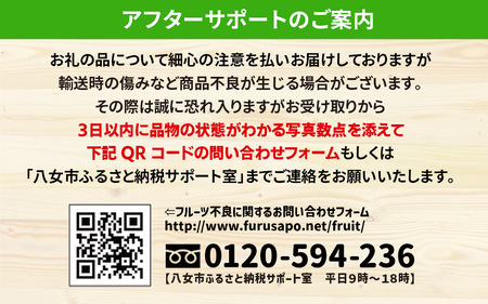 【2025年6月発送予定】九州・福岡フルーツ王国八女から直送！すもも約1.4kg｜＜配送不可：北海道・沖縄・離島＞ 072-163