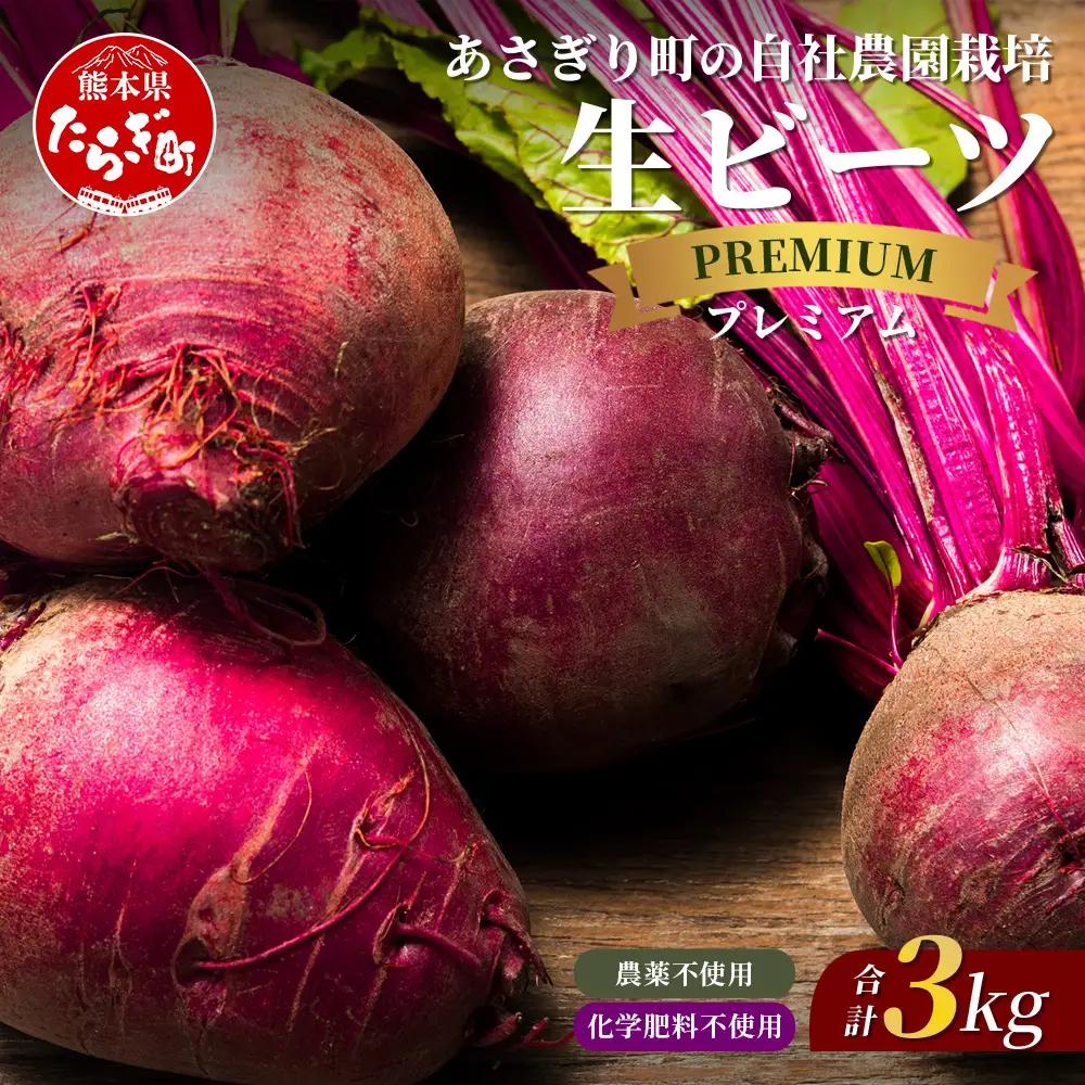 自社農園栽培 プレミアム 生 ビーツ 3kg  熊本県 産 国産 スーパーフード 115-0614