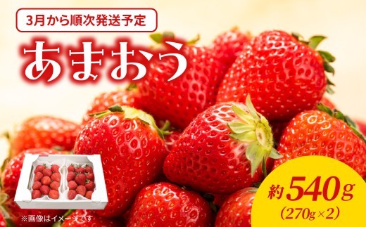 
                  【2027年3月配送開始】福岡・博多名物ブランドいちご「あまおう」2パック 合計約540g ＜配送不可：北海道・沖縄・離島＞ あまおう いちご 苺 イチゴ フルーツ 果物 くだもの 人気 旬 福岡県産 270g アフター補償 産地直送 冷蔵配送 クール便 先行予約 福岡県 八女市
                