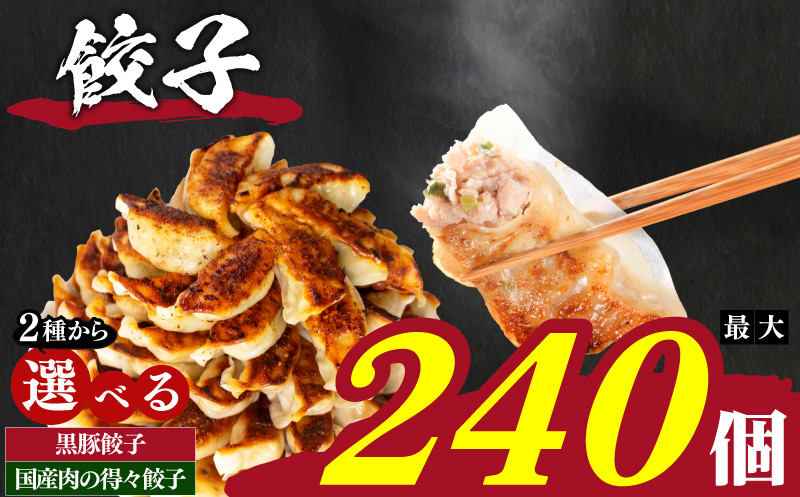訳あり 黒豚餃子 180個 12個×15パック 冷凍 小分け 日指定可 たれ付き 大容量 ぎょうざ ギョウザ ギョーザ ( 肉 豚肉 九州産黒豚 おかず餃子 ごはんのお供 便利 日用 簡単調理 惣菜 1万円 10000円 加工食品 絶品 おかず 弁当 おつまみ 晩ごはん ) 山口県 下関市 肉特集