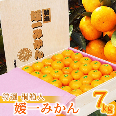 
            桐箱入り・媛一みかん(7kg)＜G24-3＞_ みかん ミカン 柑橘 フルーツ くだもの 果物 ふるーつ 青果 果実 甘い ジューシー 産直 産地直送 旬 柑橘類 人気 温州 桐箱 ブランド 愛媛 果汁 八幡浜市 【1045055】
          