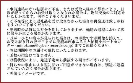 《先行予約》 「山之上果実農業協同組合」 山之上の梨 二十世紀 1箱 約2.5kg 梨 なし ナシ 果物 フルーツ 旬 【2026年9月上旬-10月上旬 発送予定】