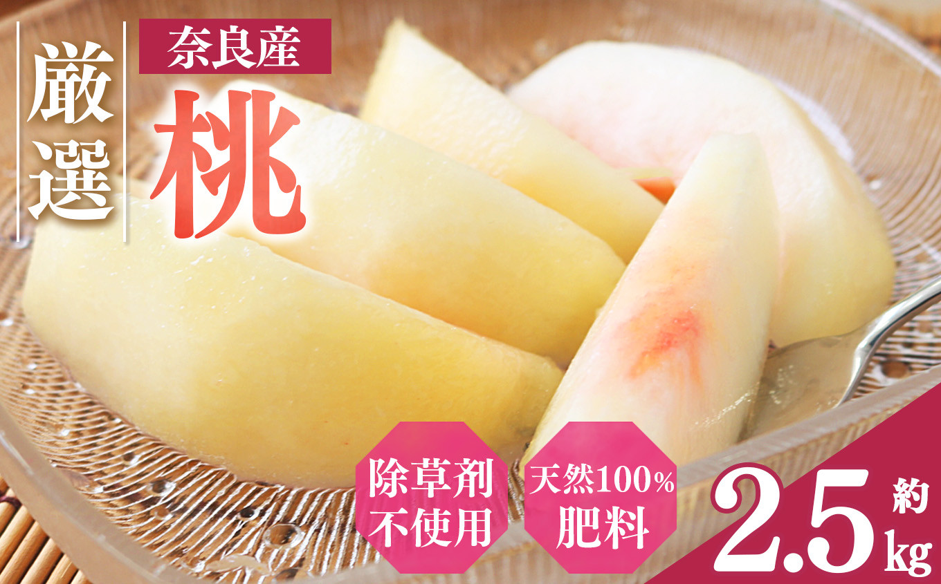 
            大和果樹園の桃 約2.5kg | フルーツ 果物 くだもの 桃 もも ピーチ 奈良県 五條市
          