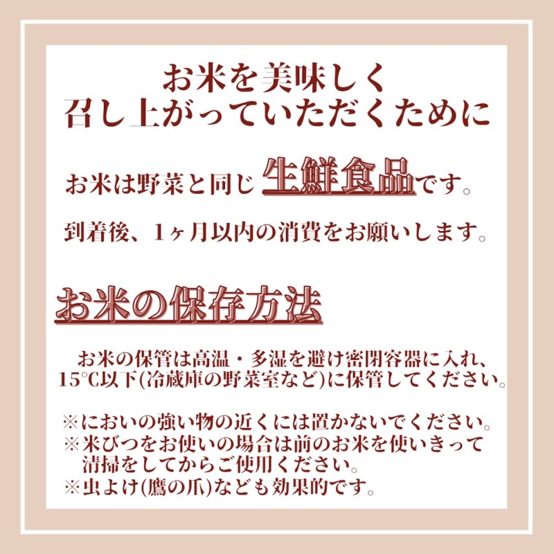 定期便 6ヶ月 訳あり 米 鳥栖市ふるさと納税限定 プレミアムブレンド 【無洗米】 6kg(3kg×2袋) 五つ星お米マイスター厳選 (お徳用ブレンド米) 家庭用 生活応援 ※配送不可:離島