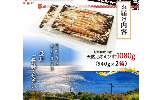 紀州和歌山産天然足赤えび540g×2箱（270g×4パック）化粧箱入 ※2025年11月末頃〜2026年1月下旬頃順次発送予定（お届け日指定不可）／海老 エビ えび クマエビ 足赤 天然 おかず【uot773A】