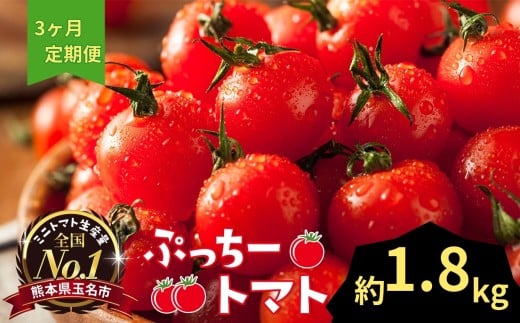 ぷっちートマト ミニトマト 1.8kg×3回 定期便 | 野菜 やさい ミニトマト ミニ とまと トマト 1.8kg 3回 定期便 リコピン 熊本県 玉名市