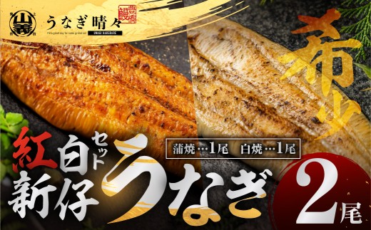 【母の日お届け】山義養魚の『うなぎ晴々』紅白セット ２尾（蒲焼１尾、白焼１尾） 希少 豊橋うなぎ 蒲焼 厳選 国産 新仔うなぎ 若うなぎ 鰻 ウナギ うなぎ ひつまぶし 土用丑の日 冷凍 丑の日 ご自宅 簡単調理 お取り寄せ 送料無料 お中元 お歳暮 贈答 ギフト タレ・山椒・岩塩つき 15000円