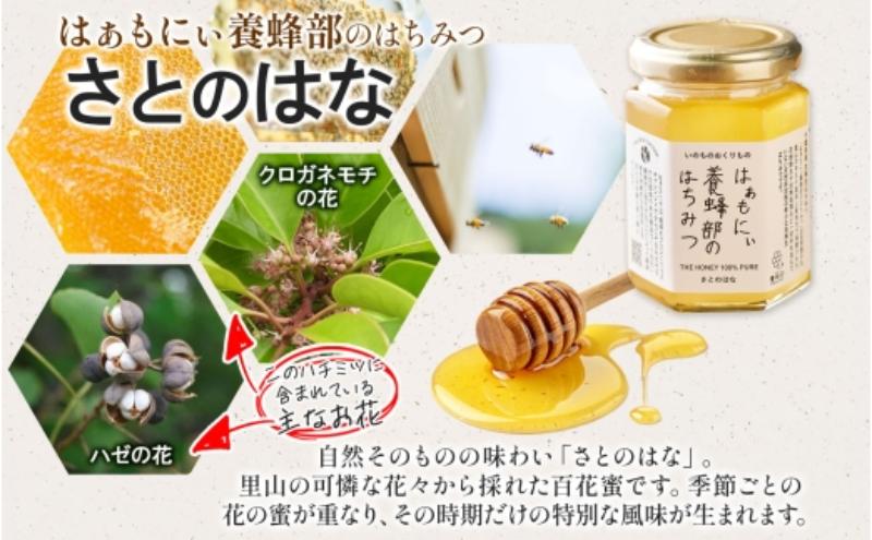 はぁもにぃ 養蜂部のはちみつ さとのはな 90g×2個 蜂蜜 ハチミツ 完熟 生はちみつ 非加熱 千葉県産 里山 花の蜜 百花蜜 ギフト 送料無料 千葉県 千葉市